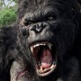 King Kong (2005) – revisiting a reimagined remake
